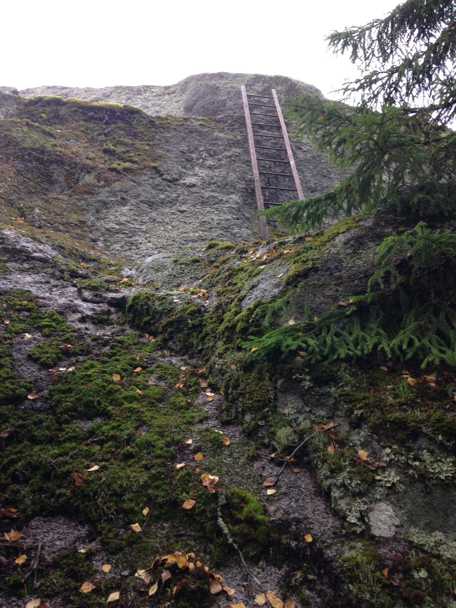 jo_scheidegger's tweet photo. A giant's throw-Sweden's 17th largest erratic https://t.co/Jf2uA1v1TE