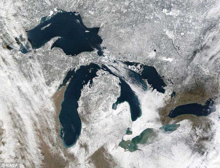 authentic_mi's tweet image. Our latest episode is now streaming youtu.be/uhRAra_jkKA featuring @FRCTeams @DIADetroit @michrenfest @313dogrescue @MISpeedway @EsportsMichigan @hungryhowies