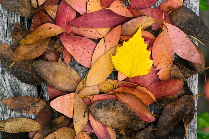 MGreer_PR's tweet photo. Capture the #SeasonsofEaling - WIN a prize in @EalingNewsExtra photo competition. https://t.co/8B3wMYKGio #EalingHour https://t.co/M8W23XjmGE