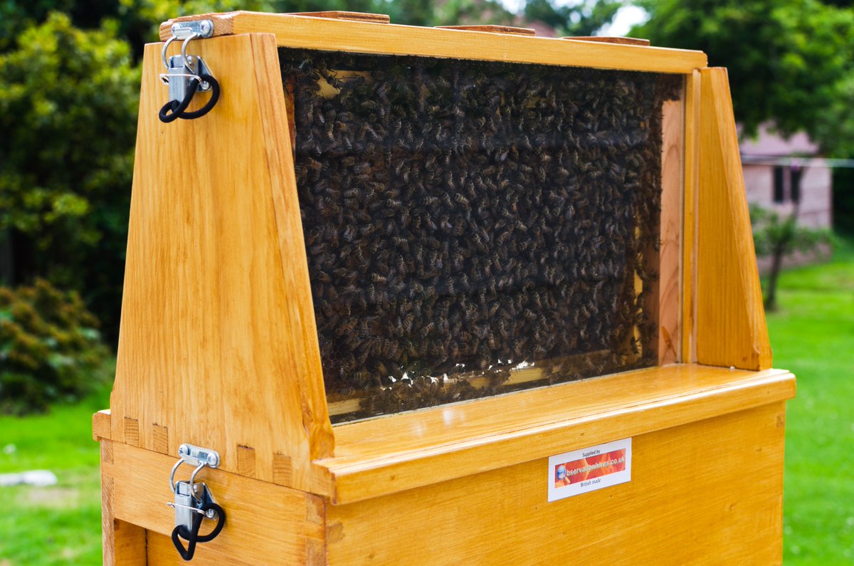 thebeeshack's tweet photo. We are @DelifonsecaDock  Saturday 7th Oct Taster day of our #tasty #honey from all areas of #Liverpool come along and see us https://t.co/sNy7Kde8wV
