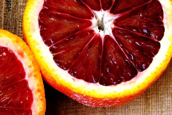 Zipzicle1's tweet photo. Channel your inner vampire with a Blood Orange Margarita Pop. Vampires need #cocktails, too! #recipe: https://t.co/KRWRvTHYjT #tuesdaytreat https://t.co/UAQT7WwGAB