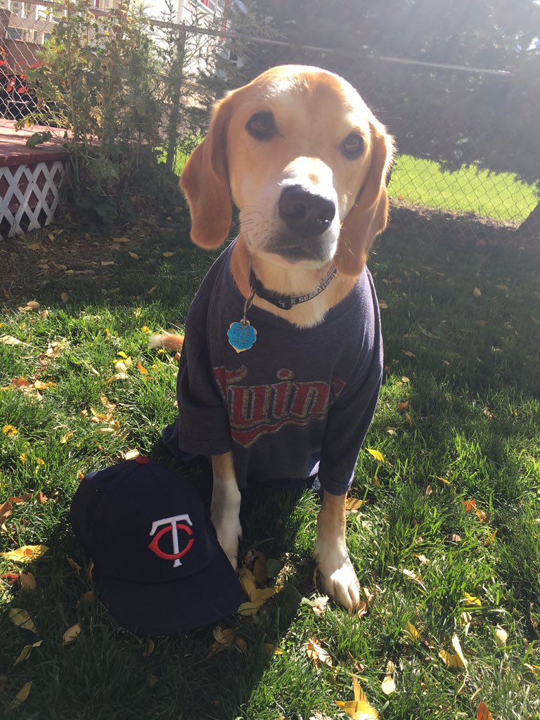 shanstores21's tweet photo. @StacyGSG Porter says #GoTwins! https://t.co/ld4OreeuZw
