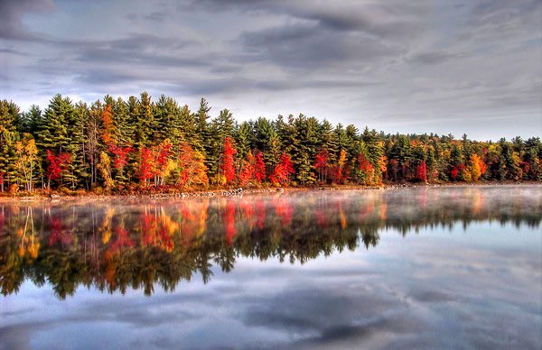 LaurelSouthME's tweet photo. The leaves are starting to change colors in Maine. Fall is here!!! https://t.co/9IiBz5wd0T