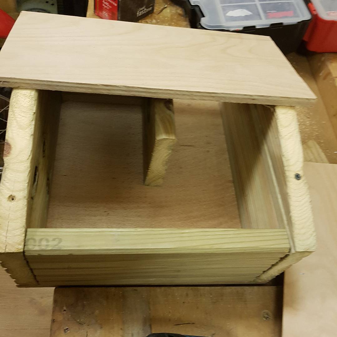 Seeds_4_Success's tweet photo. Hedgehog boxes coming along nicely #s4s #seeds4success #youthwork #woodwork #hedgehogboxes #hedgehog #hibernation #mere #bridgingproject https://t.co/FUasqpfyTu