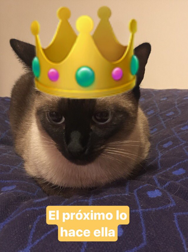 Núria Boladeres (NBoladeres) Twitter