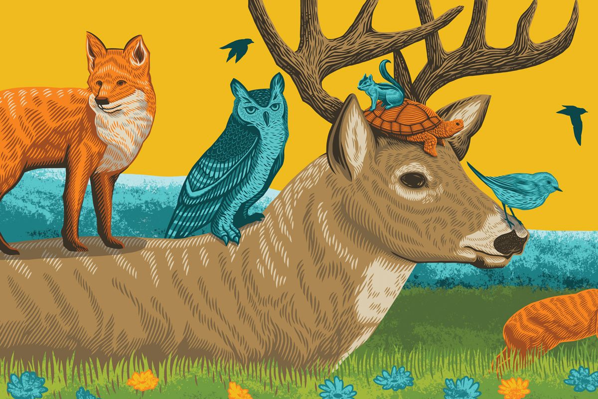 creativemorning's tweet image. Meet Our #CMpioneer Illustrator, John Vogl (@JohnBungaloo): buff.ly/2fXe0Jz