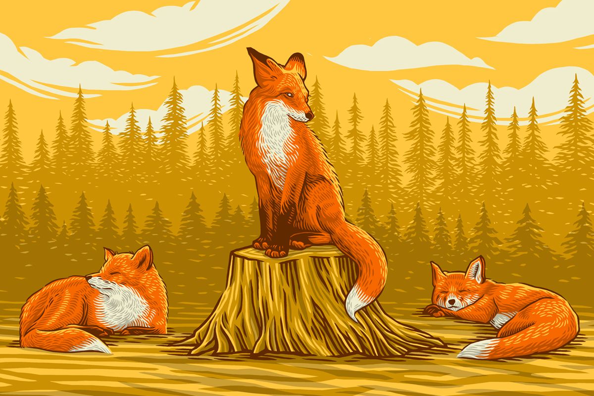 creativemorning's tweet image. Meet Our #CMpioneer Illustrator, John Vogl (@JohnBungaloo): buff.ly/2fXe0Jz