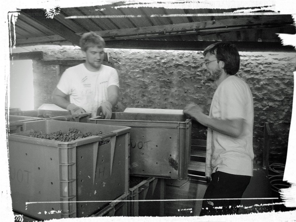 02400Champ_Huot's tweet photo. Chargement du pressoir
#Vendanges en #Champagne https://t.co/bLAEC4aL2N