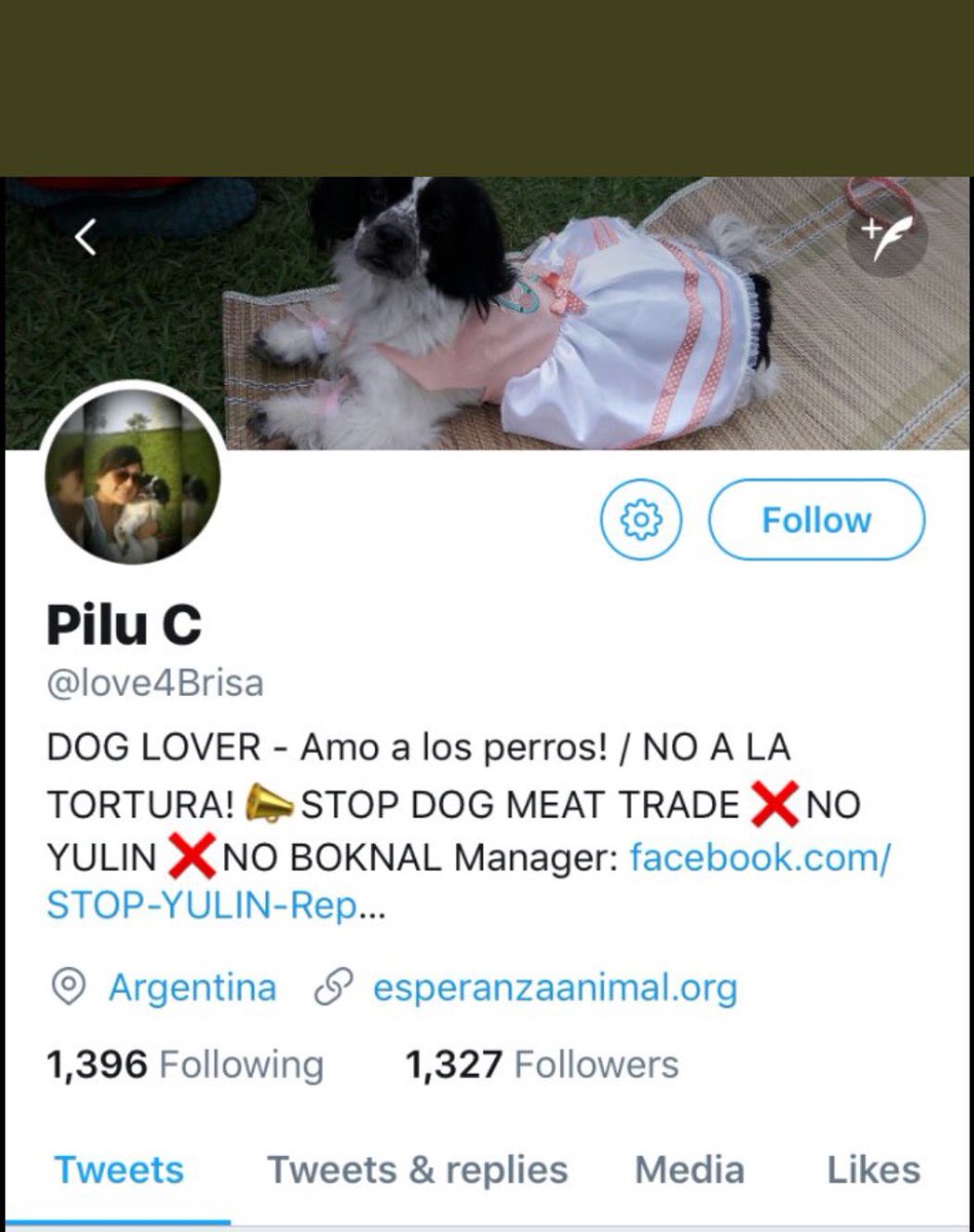 GretaAstpc's tweet photo. .@Twitter @TwitterSafety @TwitterSupport 
how come you systematically suspend animal lovers ❓❓❓❓
Pls. reinstate this acc.t @love4Brisa asap https://t.co/1des0TF1w9