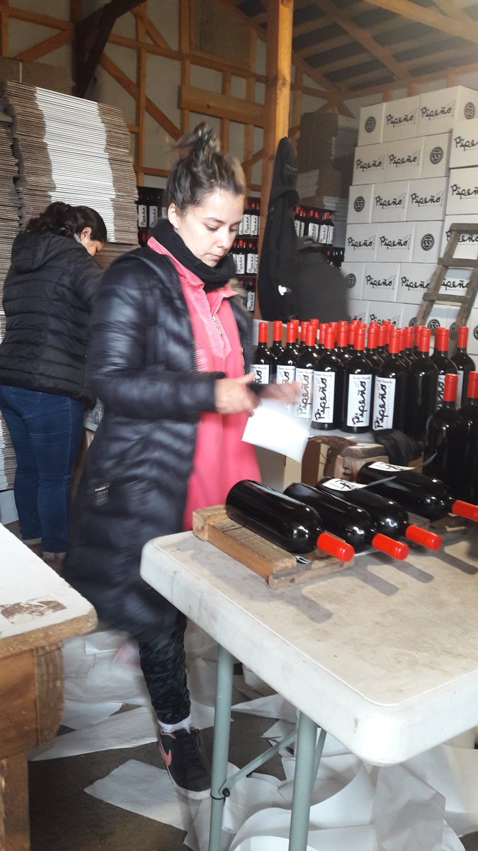 Living  ... " La vida Loca " Embotellando Pipeño ... Around the World  ...Yumbel , Bio Bio # Vinos Naturales con <a href="/manuelmoragagut/">CaciqueMaravilla</a> <a href="/GiigiiNA/">Alejandra</a>