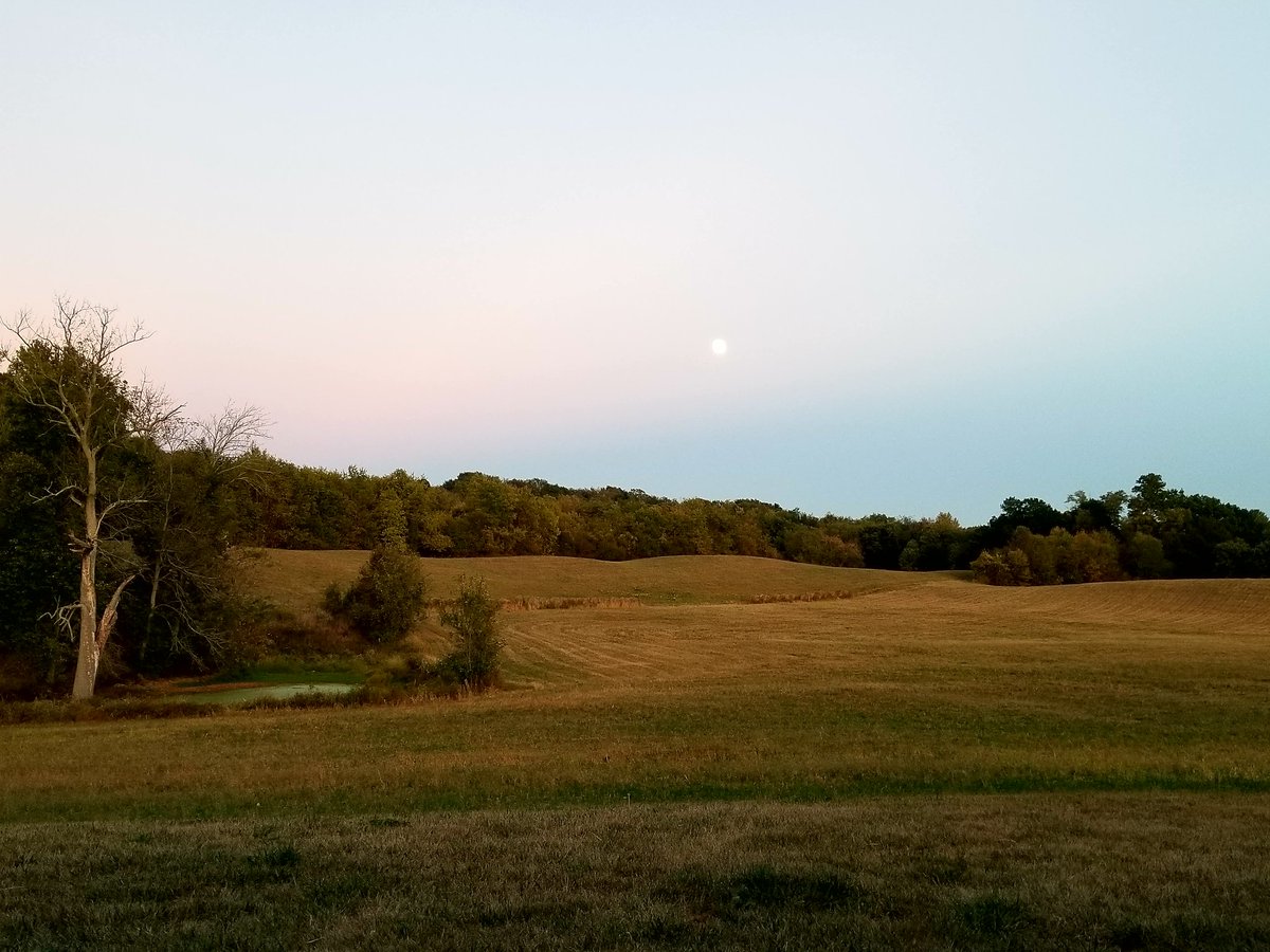 MeganDingles's tweet photo. #moon #farmlife https://t.co/XWG4r9Xk4R