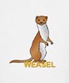 Shugga_GB's tweet image. @DestinyTheGame Another fucking weasel, thought you were going to fix this shit? #lazycoding