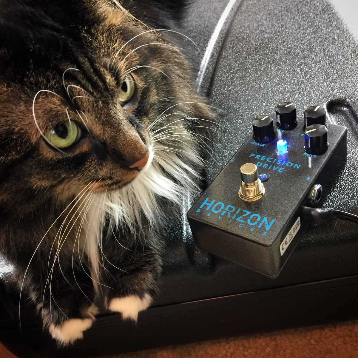 Hunter 李特 tweet media