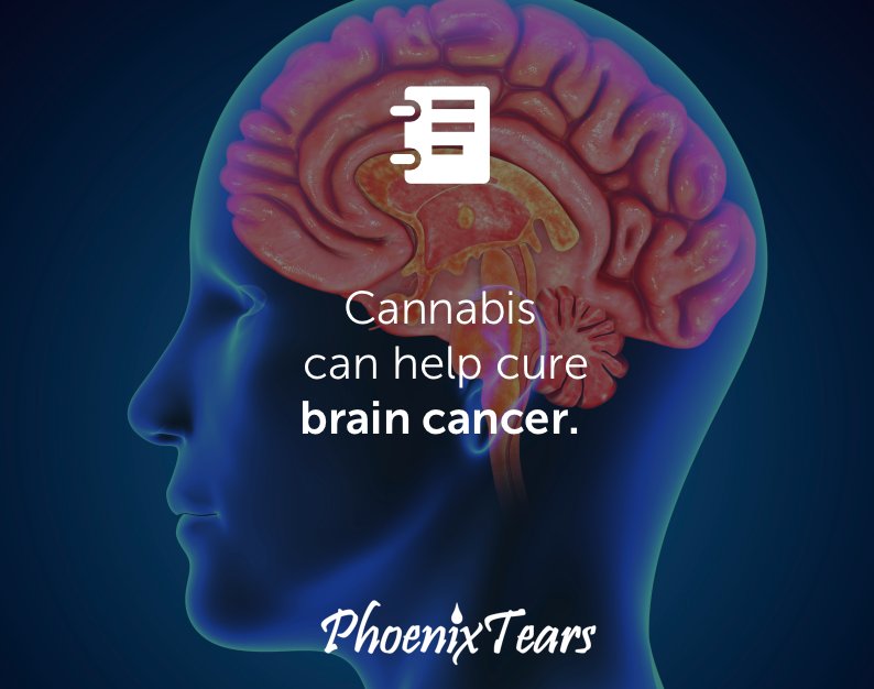 Simpson_Rick's tweet photo. A study in The Journal of Pharmacology And Experimental Therapeutics acknowledged the fact that #cannabinoids possess #antitumor properties. https://t.co/qXYgug9hAq