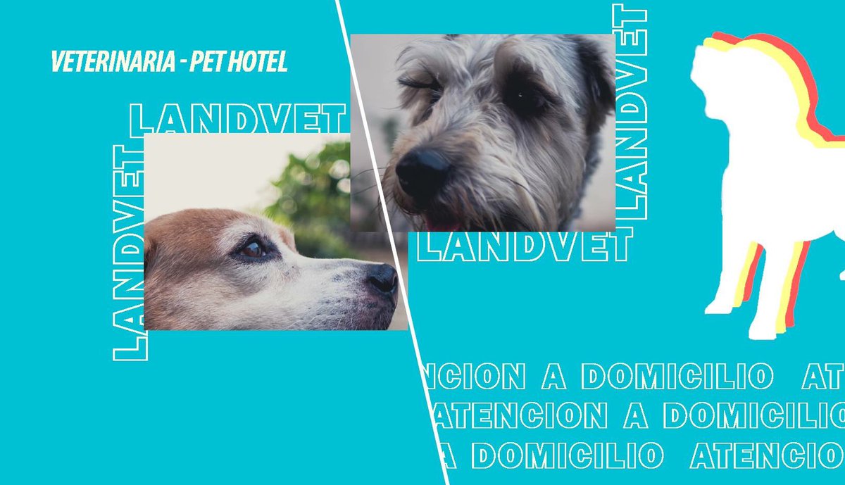 Landvet's tweet photo. Para mayor información cel/WhatsApp 75652575 https://t.co/AyIblnKB5y