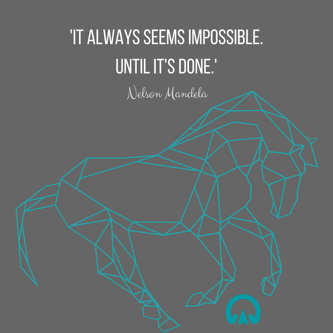Huff Equestrian tweet media