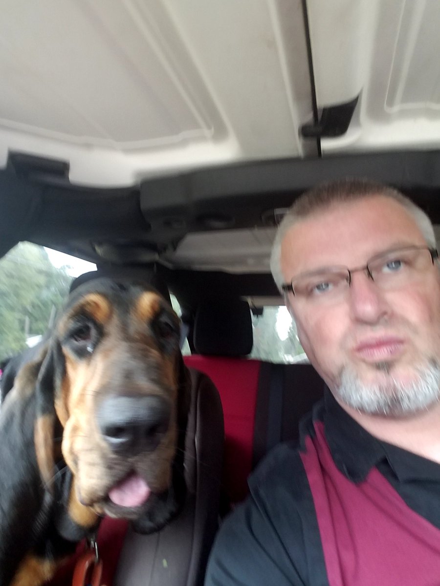 BloodhoundZoey's tweet photo. Time for my check up at the vets office #gamerecovery https://t.co/KauAM2B4b5