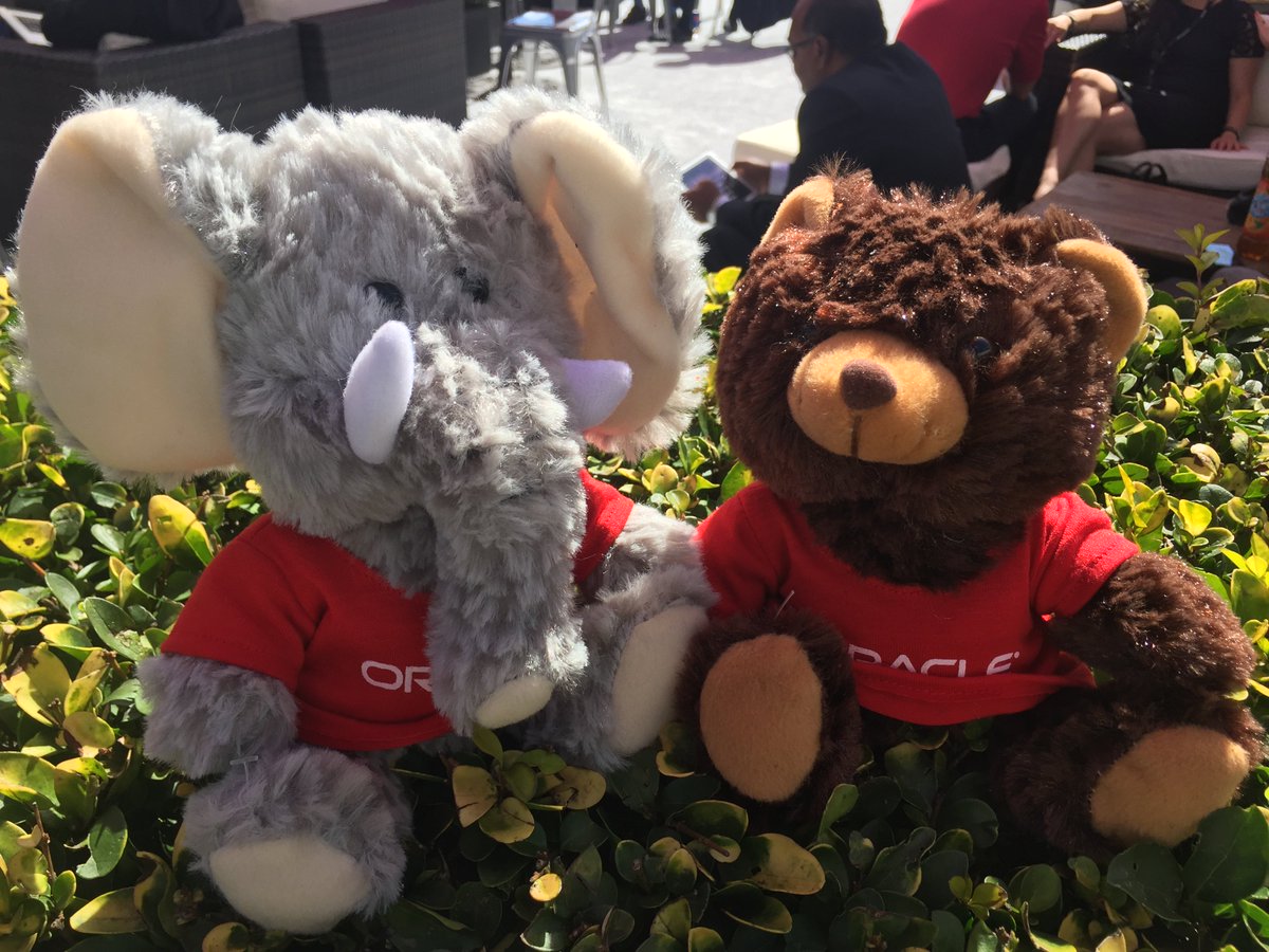 oraclepartners's tweet photo. A warm welcome to our newest #OPN members! Glad to have you onboard. #oow17 #OPNcentral https://t.co/XhmB5E6QKD