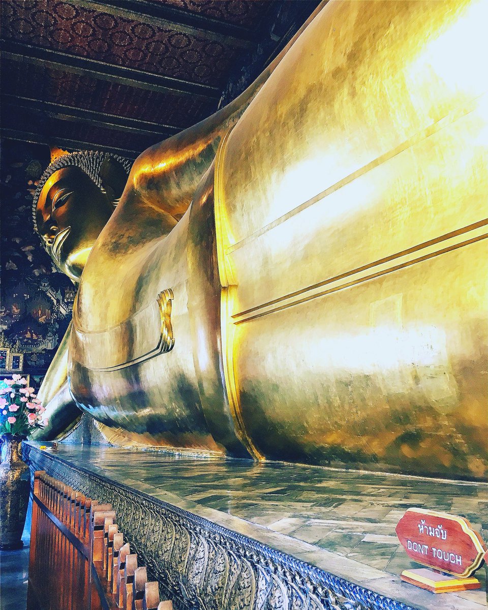 Raquel__Pinto's tweet photo. #amazingthailand 🙏🏽😬🙀🐘🎋🎍📿 https://t.co/uYUhW2uDC9
