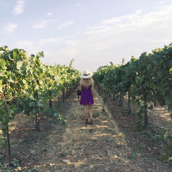 Lodi_Wine's tweet photo. Lodi: California’s Lesser Known Wine Country is a Hidden Gem https://t.co/zZxJ7060DW https://t.co/pU5Hn0eq9Z