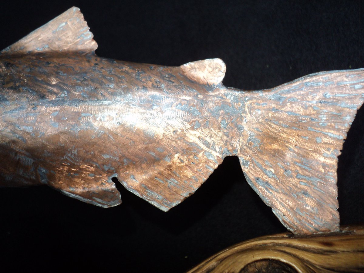 Holdzit's tweet photo. Pet fish for sale! No water needed. Hammered copper attached to pine. 12" by 5" $85.00 https://t.co/gCpyerL1qO #copperfish #craftsman https://t.co/FlgdYWXwC5