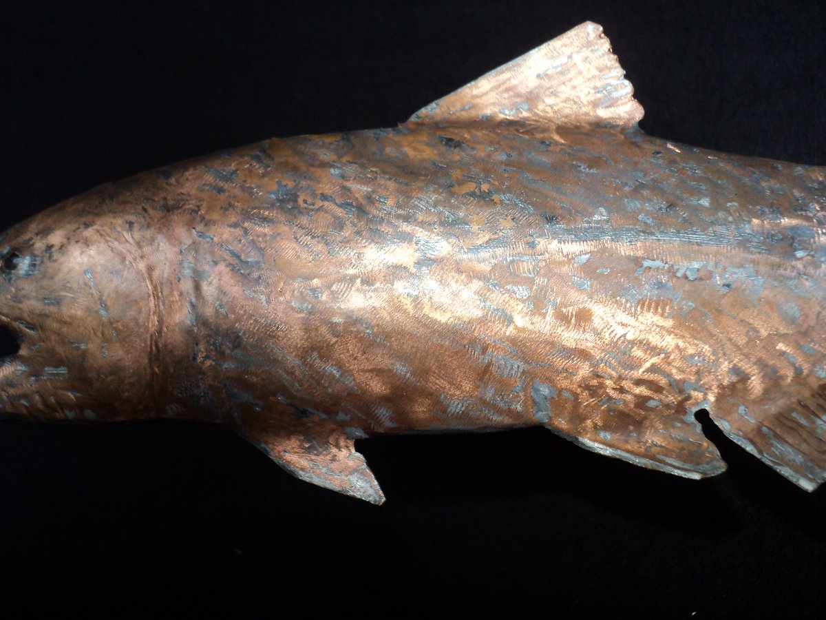 Holdzit's tweet photo. Pet fish for sale! No water needed. Hammered copper attached to pine. 12" by 5" $85.00 https://t.co/gCpyerL1qO #copperfish #craftsman https://t.co/FlgdYWXwC5