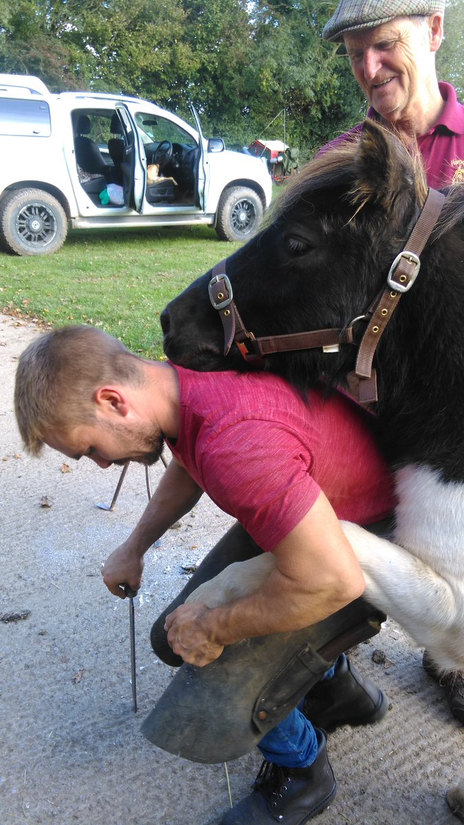 mazlab's tweet photo. Smartie found his head too heavy so he rested it on Tom's back https://t.co/vTaIrirB8V