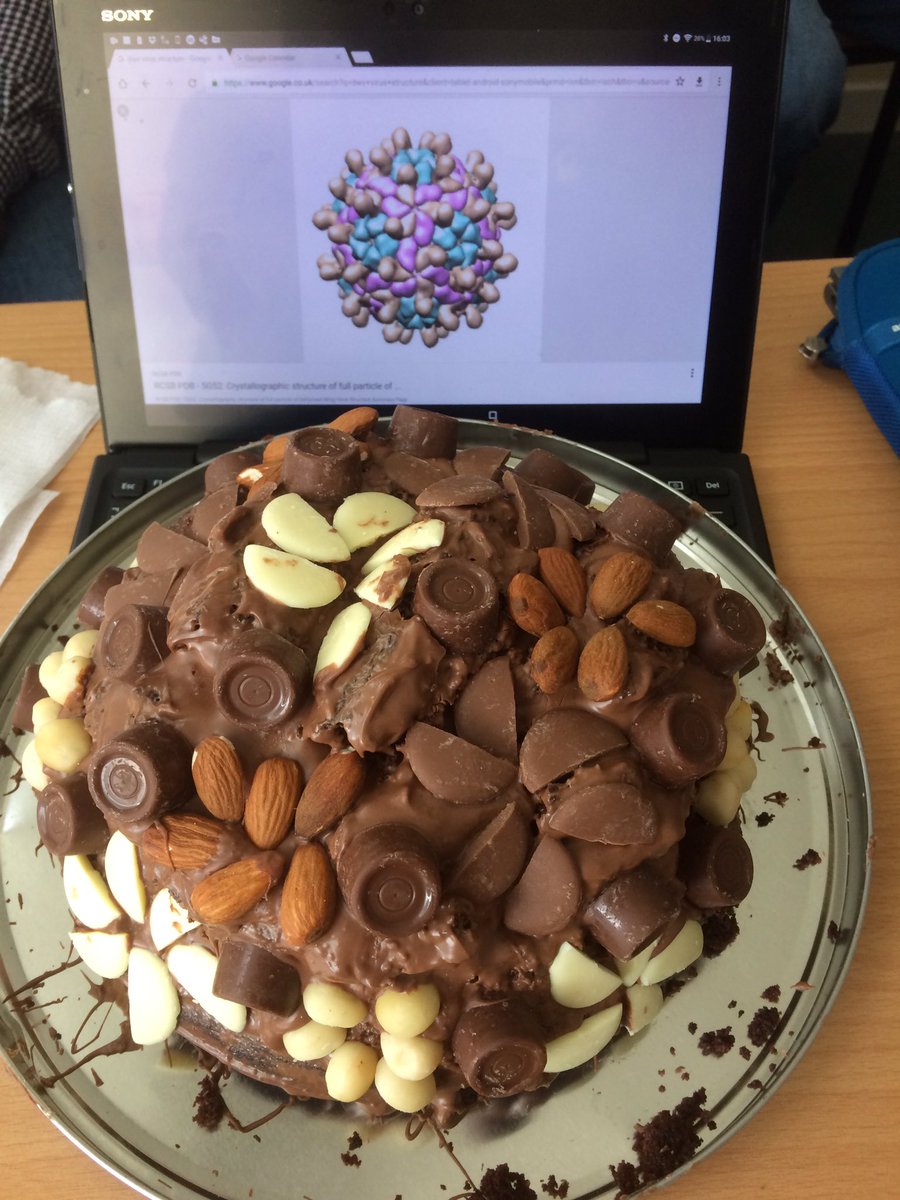 sphaerularia's tweet photo. Today's lab cake (with model) - if DWV was this yummy in real life, bees would be a lot happier 😉 thanks @EmilyJBailes https://t.co/UJiPih6AXp