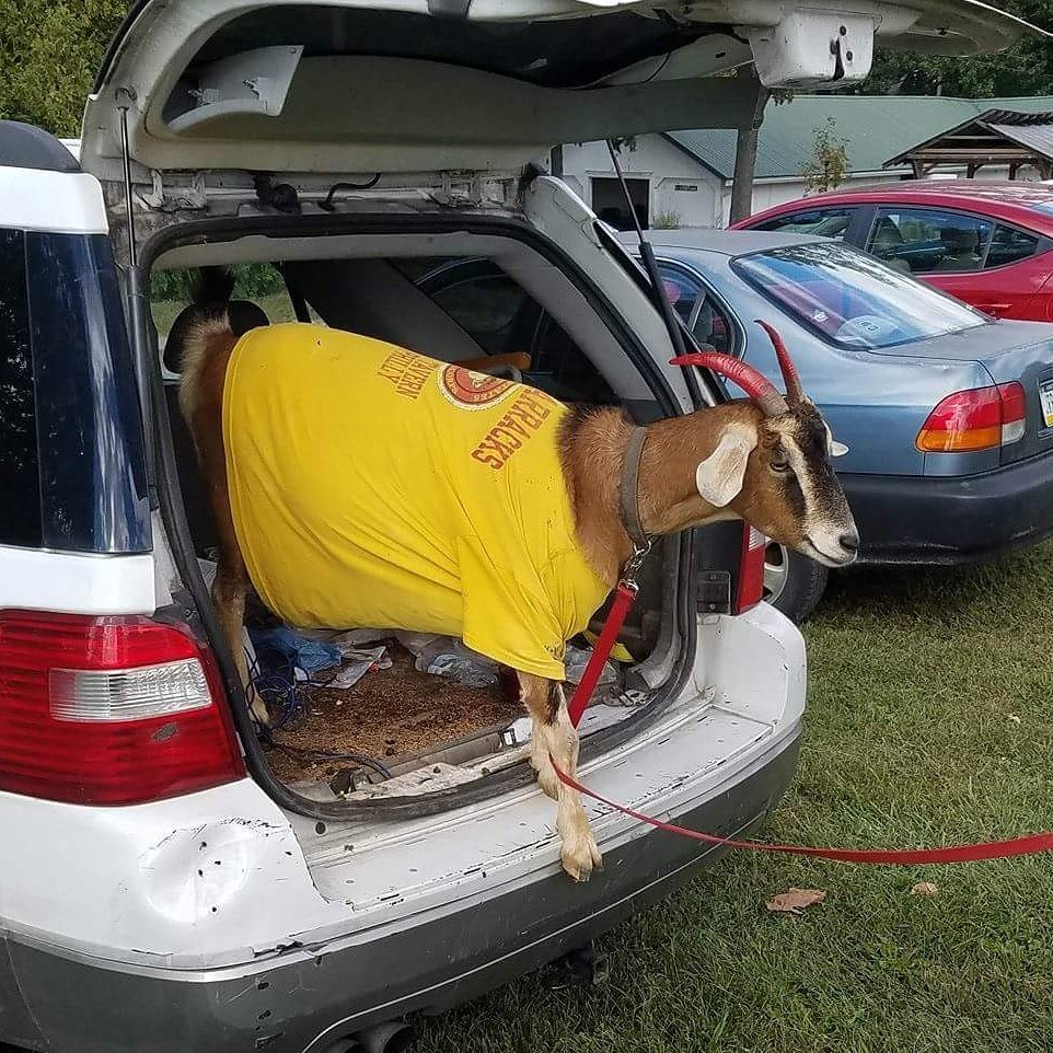 Roosterpaloooza Music Festival 2017!!!