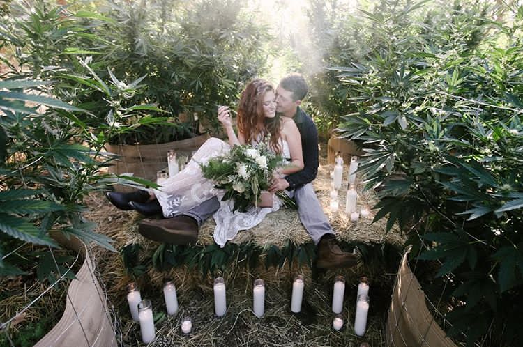 Engagement photos from famous weed photographer <a href="/canna_obscura/">Allie</a>! 😍
#weedwedding #thiscannabislife