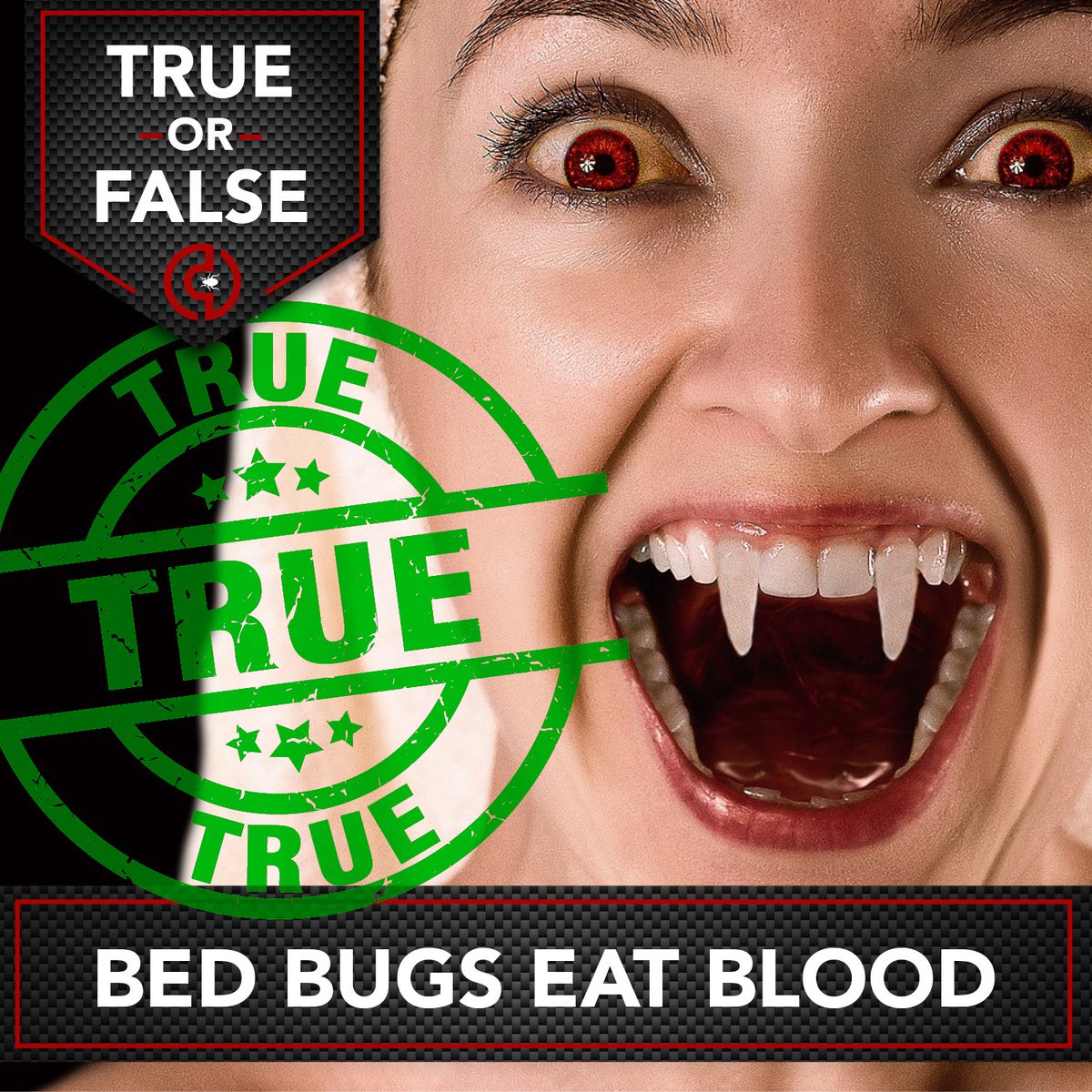 ClearVueTraps's tweet image. #Bedbugs will stop at nothing to get to you. Good reason why you should stop at nothing to get to them! bedbugtraps.com. #ClearVue
