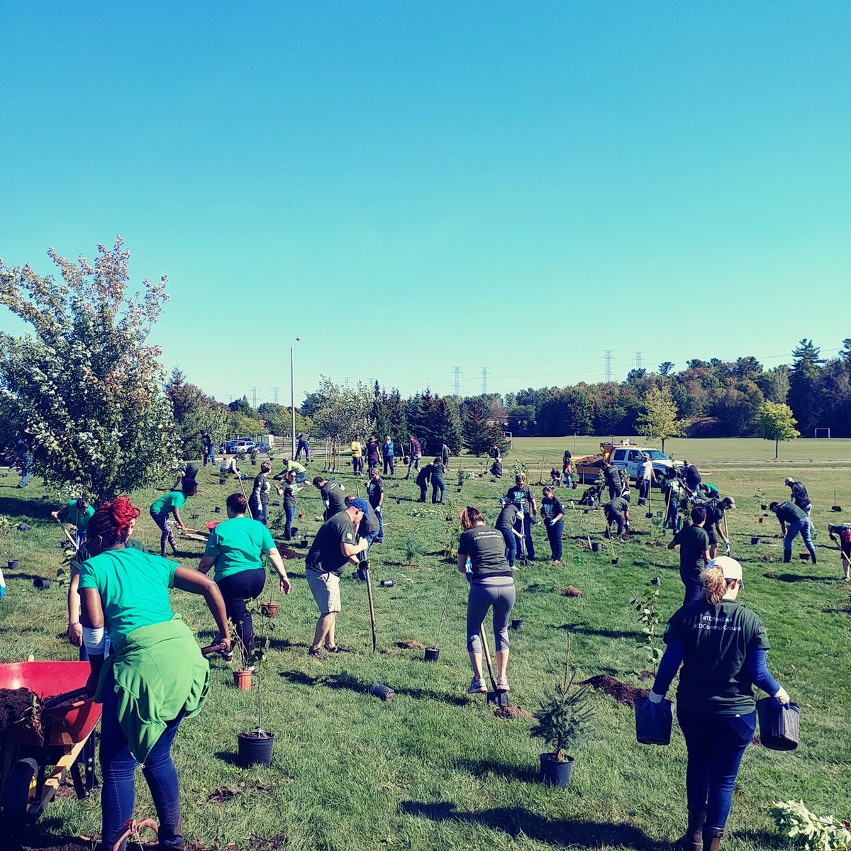 MahmutiBlerta's tweet photo. Greening communities, one #TDTreePlanting at a time!  Thanks a million to all volunteers, @TreeCanada, and @TDFEF for today!450🌲#TDemployee https://t.co/xNh4eX9alb