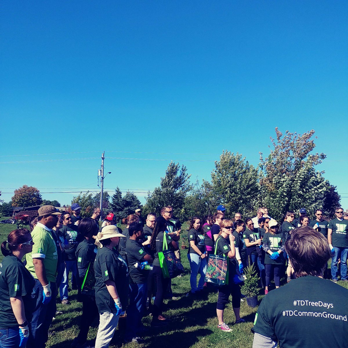 MahmutiBlerta's tweet photo. Greening communities, one #TDTreePlanting at a time!  Thanks a million to all volunteers, @TreeCanada, and @TDFEF for today!450🌲#TDemployee https://t.co/xNh4eX9alb