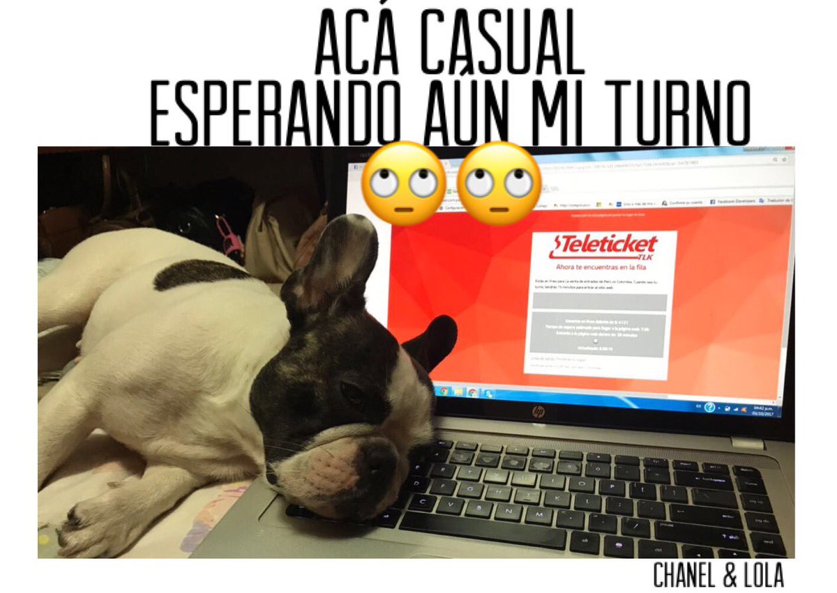 SabriACT's tweet photo. @mcalbav Ella también quería 😂 https://t.co/XqEZ5JFyQa