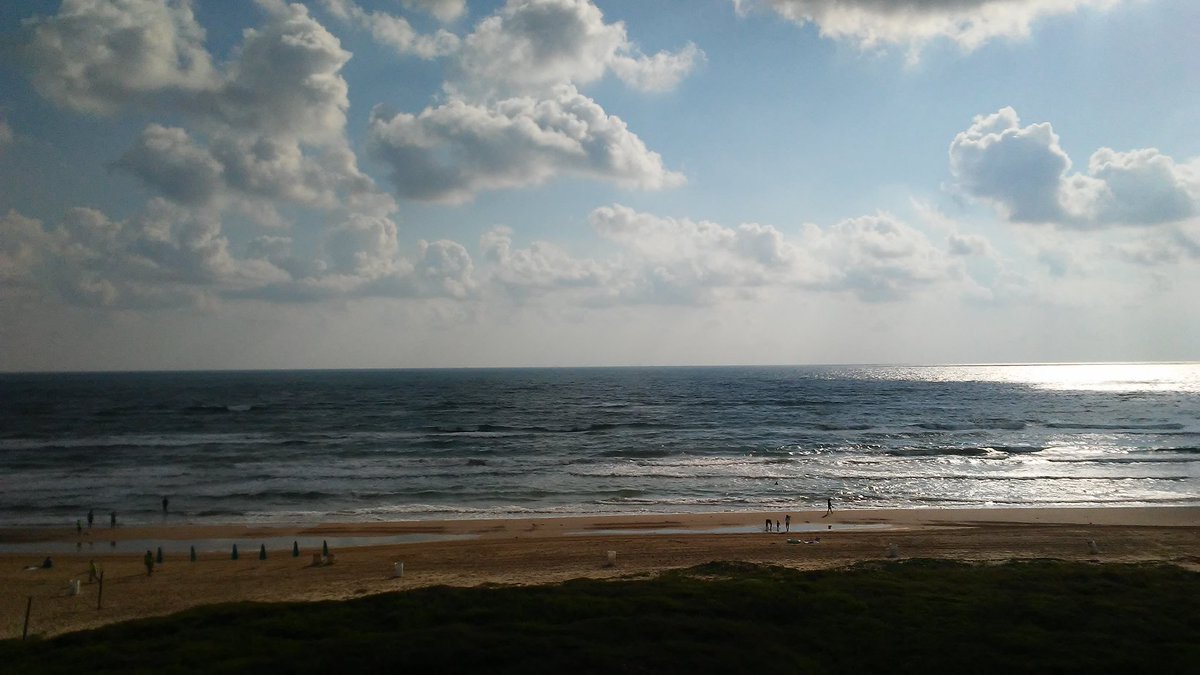 MarzSW's tweet photo. I want to go back to spi https://t.co/9K266ylXGF