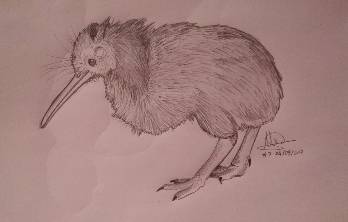 MaralbaAlc's tweet photo. Day 7! Look! A little big bird! #OneAnimalPerDay #Challenge https://t.co/9yrboeM2ZL
