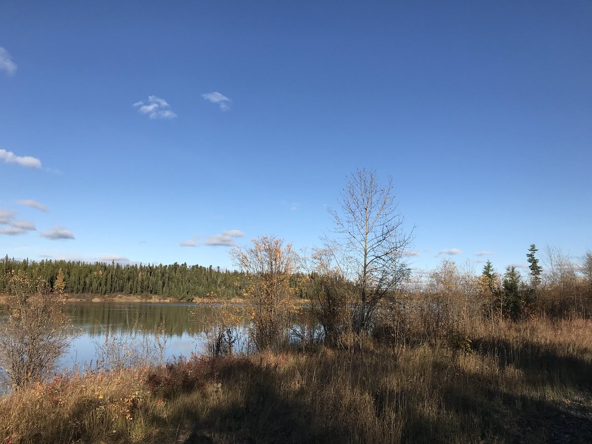 __sjacoby's tweet photo. Beautiful day for a run! #MilleniumTrail https://t.co/nspiLD8vv7