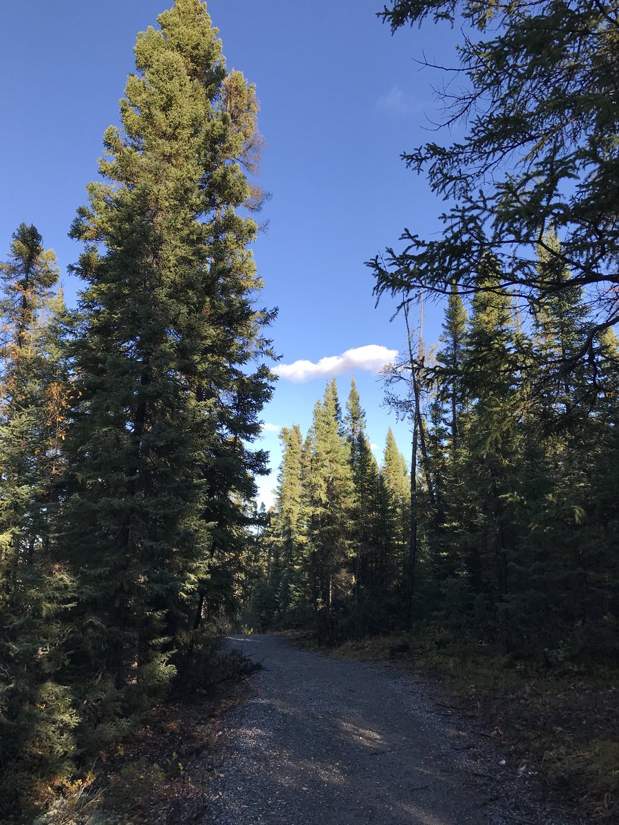 __sjacoby's tweet photo. Beautiful day for a run! #MilleniumTrail https://t.co/nspiLD8vv7