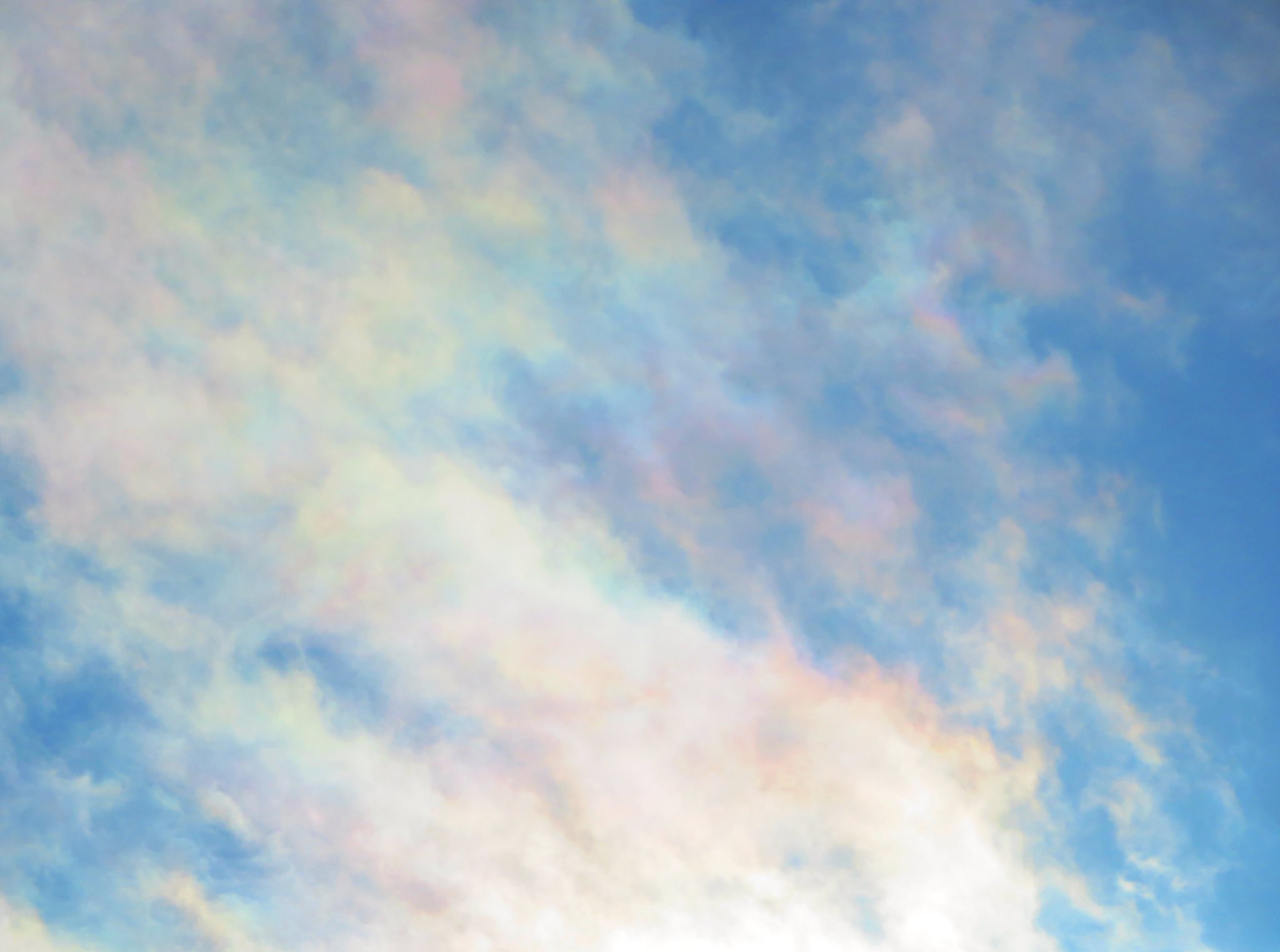 水彩画「太陽と木と雲」 hq720.jpg?sqp=-