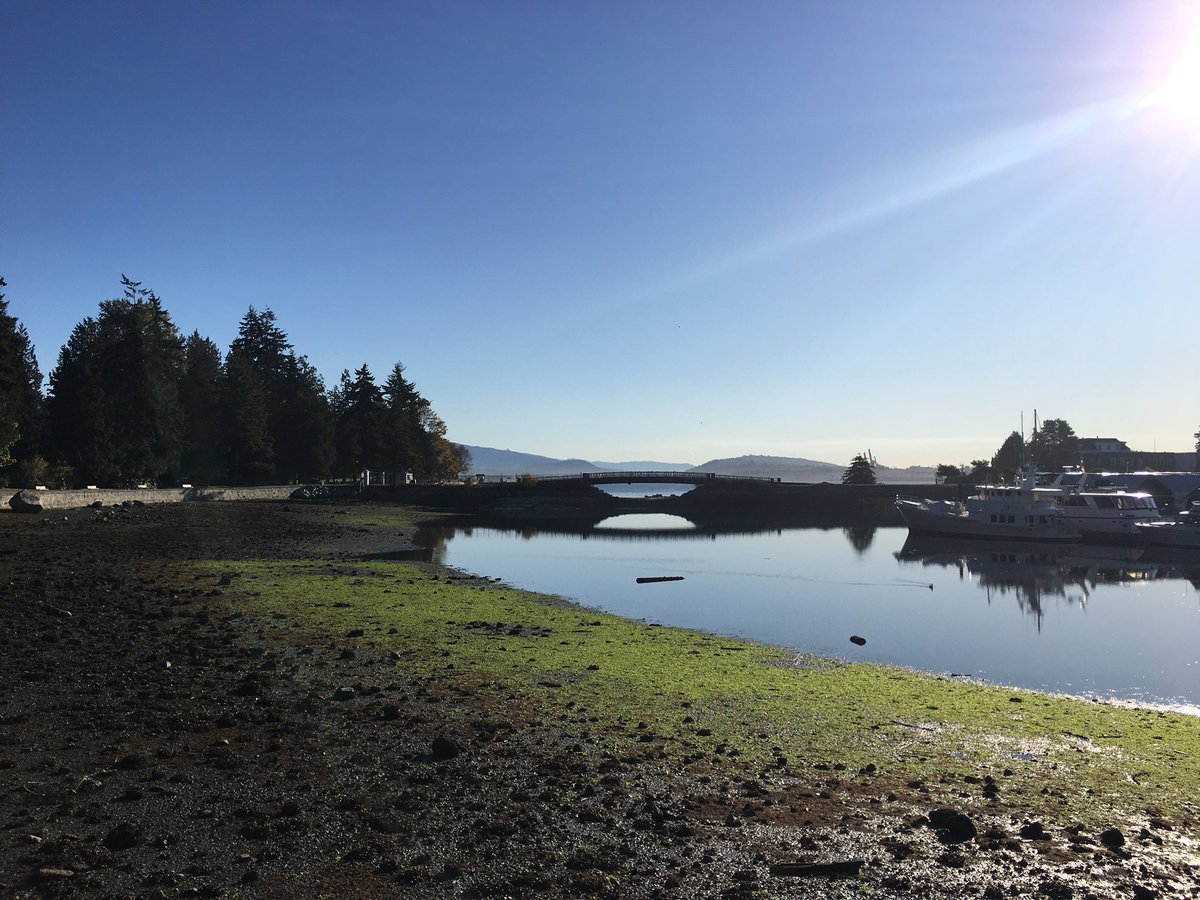 AboriginalEco's tweet photo. #StanleyPark is where it is at. #TalkingTrees #SpokenTreasures #TalaysayTours https://t.co/KfIpjOQsHQ