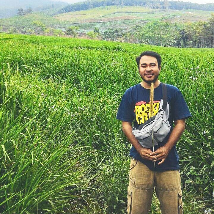 Rocket Crash tweet media