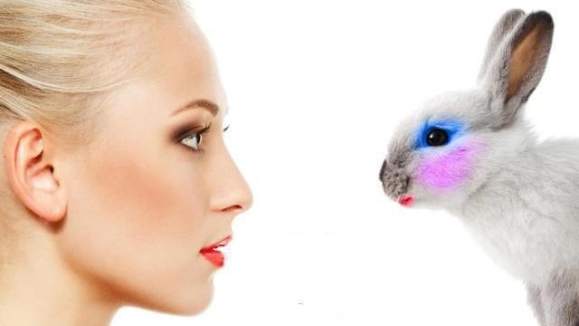 #dierendag Sinds 2013 is Europese cosmetica dierproefvrij. Maar hoe proefdier vrij is proefdiervrij nu echt? Kijk op degoedegids.nl