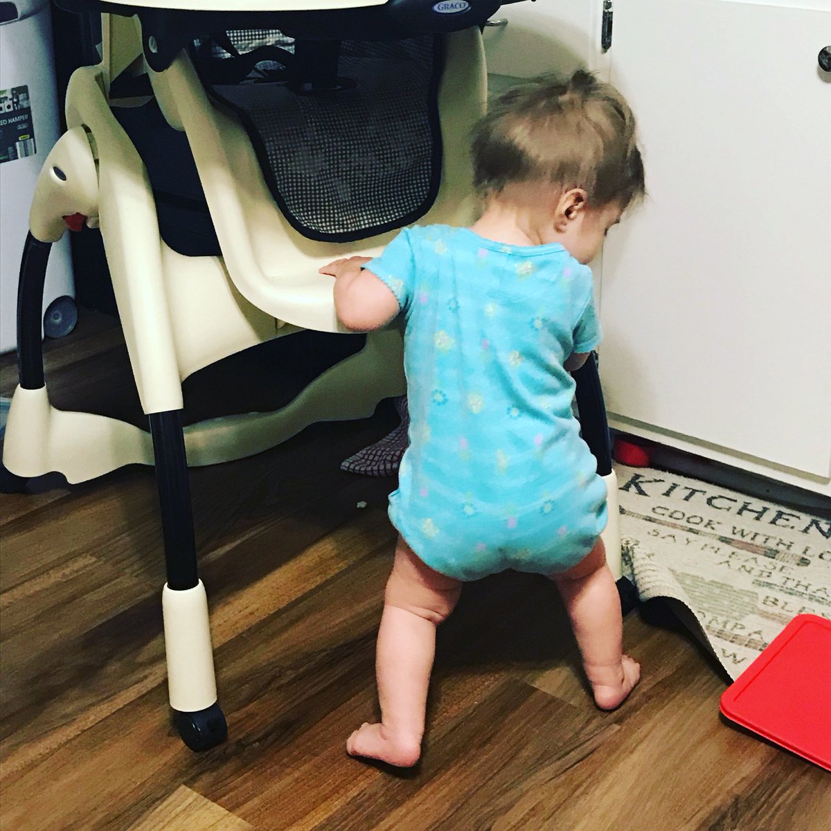 amacphailfausey's tweet photo. I just walked my high chair across the kitchen! #whysitstill https://t.co/DkhbvJFtu0