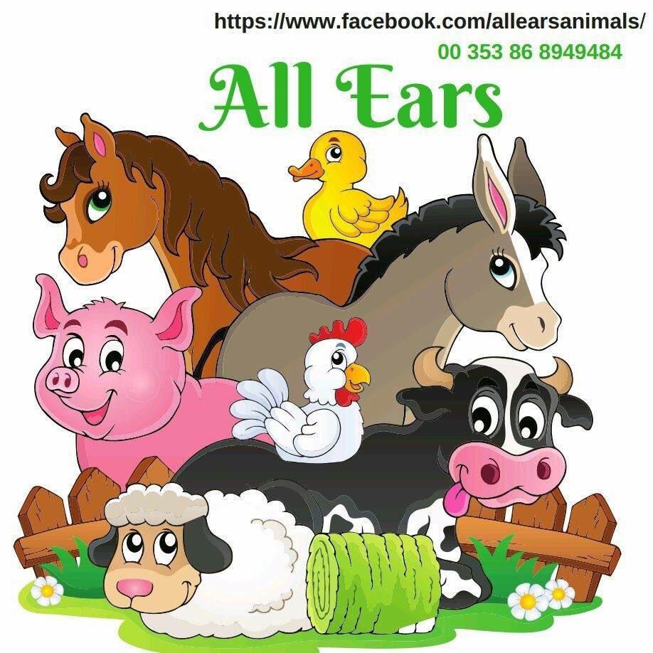 Allears321's tweet photo. I’m a gonna sleep to the Mooooo-rning 🐄🐄🐄🐄 https://t.co/xWGd1eVIS3