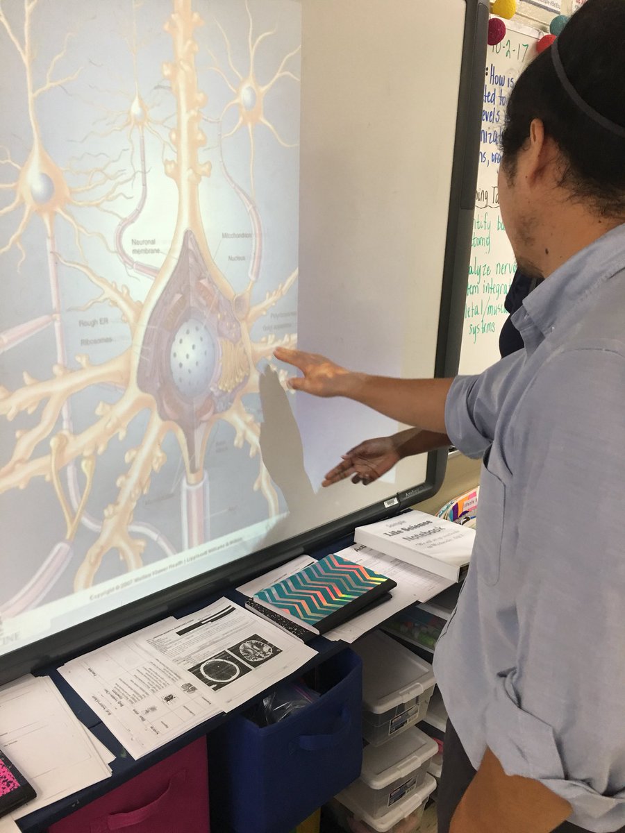 Everett_A_'s tweet photo. @consuegrancts made me want to go back to 7th grade just to have her for science! #NCSSBeTheBest #NCTSPRIDE #sciencedoneright https://t.co/gRhJ75FPiE