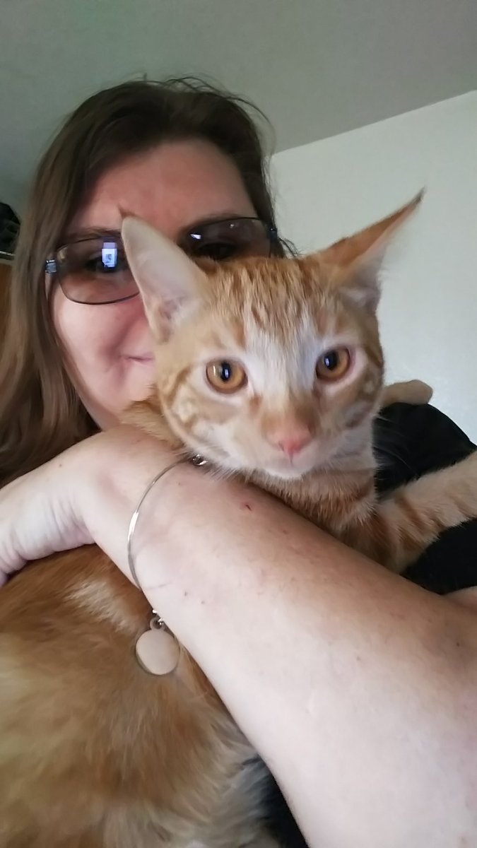 MoonWraithComic's tweet image. While we love our werewolf creation, at home we're owned by a cat. #CatsOfTwitter