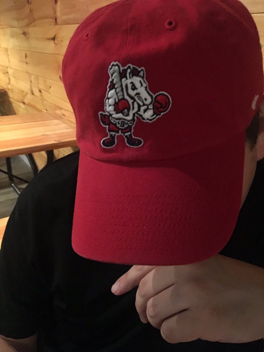 TheDittel's tweet photo. The logo of my 2nd favorite team name: the Binghamton #RumblePonies . What's number 1? The old Worcester #RubyLegs from the 1800s. #FunNames https://t.co/MP5r36UzHd