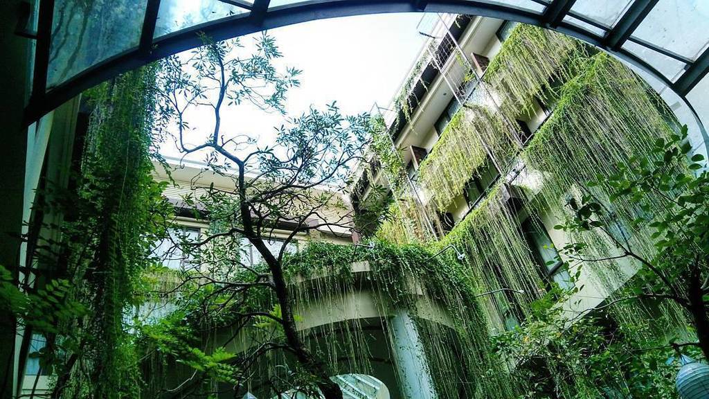 Good morning.. enjoy the ambience of Rainforest during your breakfast....
.
.
.
.
Thank you <a href="/frizakanin/">Seniman Laut</a> for visiting us and sharing this be…