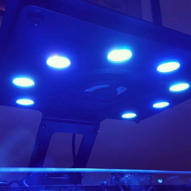 MaxspectLED's tweet image. 😂 My fish probably think a UFO has come to suck them up and take them to space! 👽👽👽 📷: @nautical_nathaniel #coralvue #gear #equipment #ethe…