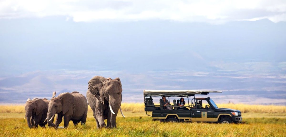 jamboadventure_'s tweet photo. "Las oportunidades no se dan, se buscan. Y si no las tomas, otros van por ellas". #Viaja #LoveAfrica #ViajarEsVivir https://t.co/Qw0dJG2ZWw